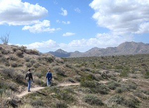 Walk in the desert