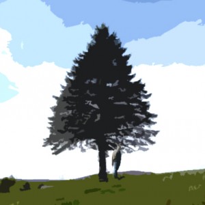 Lone tree with person